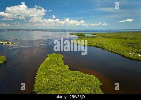 Vue depuis le dessus des everglades de Floride avec végétation verte entre les entrées d'eau de l'océan. Habitat naturel de nombreuses espèces tropicales dans les zones humides Banque D'Images