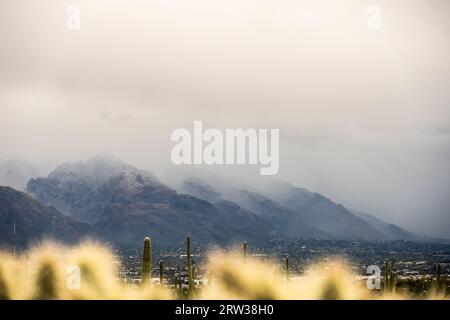 Brouillard de nuages bas dans les montagnes Rincon près de Tucson pendant la tempête hivernale Banque D'Images