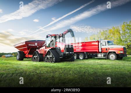 Cremona Alberta Canada, septembre 10 2023 : le tracteur case Quadtrac décharge le grain d'un chariot à grain dans un camion agricole tandem Mack pendant la récolte d'automne Banque D'Images