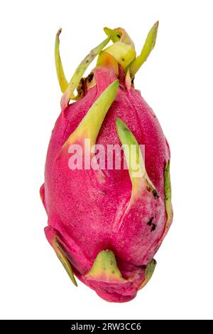 Pitahaya sur fond blanc. Fruit du dragon. Fruits exotiques Banque D'Images