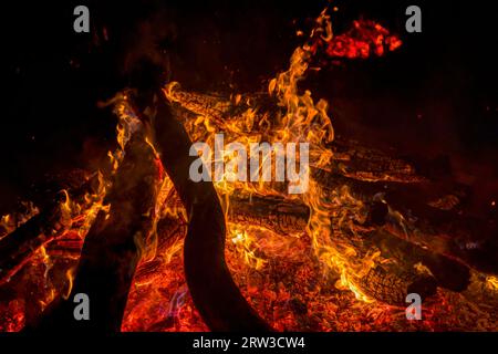 énorme feu de joie dans la nuit, de grandes bûches de bois brûlées et des flammes flambent Banque D'Images