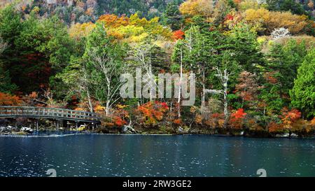 Le paysage de la belle automne laisse au Japon le paysage de Nikko Yunoko comme un tableau Banque D'Images