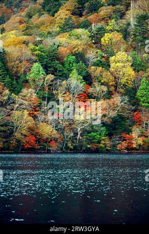 Le paysage de la belle automne laisse au Japon le paysage de Nikko Yunoko comme un tableau Banque D'Images