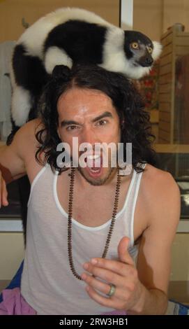 MIAMI, FL - 08 MAI : l'acteur Russell Brand a passé l'après-midi à Jungle Island. Russell a apprécié la visite spéciale de Lemur ainsi que de se faire des amis avec un pingouin et de faire un tour sur la tortue géante résidente. Russell et son ami Nicola semblaient avoir une journée incroyable car ils ont apprécié le parc et tous les animaux. Russell a également pris le temps de signer des autographes et de poser pour des photos avec des fans. Russell Edward Brand (né le 4 juin 1975) est un comédien, acteur, chroniqueur, chanteur, auteur et présentateur de radio/télévision anglais. Pendant ce temps, sa femme Katy Perry était en tournée en Australie. Le 8 mai 2011 à mi Banque D'Images