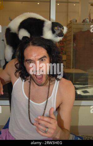 MIAMI, FL - 08 MAI : l'acteur Russell Brand a passé l'après-midi à Jungle Island. Russell a apprécié la visite spéciale de Lemur ainsi que de se faire des amis avec un pingouin et de faire un tour sur la tortue géante résidente. Russell et son ami Nicola semblaient avoir une journée incroyable car ils ont apprécié le parc et tous les animaux. Russell a également pris le temps de signer des autographes et de poser pour des photos avec des fans. Russell Edward Brand (né le 4 juin 1975) est un comédien, acteur, chroniqueur, chanteur, auteur et présentateur de radio/télévision anglais. Pendant ce temps, sa femme Katy Perry était en tournée en Australie. Le 8 mai 2011 à mi Banque D'Images