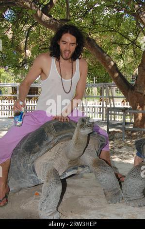 MIAMI, FL - 08 MAI : l'acteur Russell Brand a passé l'après-midi à Jungle Island. Russell a apprécié la visite spéciale de Lemur ainsi que de se faire des amis avec un pingouin et de faire un tour sur la tortue géante résidente. Russell et son ami Nicola semblaient avoir une journée incroyable car ils ont apprécié le parc et tous les animaux. Russell a également pris le temps de signer des autographes et de poser pour des photos avec des fans. Russell Edward Brand (né le 4 juin 1975) est un comédien, acteur, chroniqueur, chanteur, auteur et présentateur de radio/télévision anglais. Pendant ce temps, sa femme Katy Perry était en tournée en Australie. Le 8 mai 2011 à mi Banque D'Images