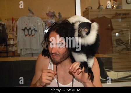 MIAMI, FL - 08 MAI : l'acteur Russell Brand a passé l'après-midi à Jungle Island. Russell a apprécié la visite spéciale de Lemur ainsi que de se faire des amis avec un pingouin et de faire un tour sur la tortue géante résidente. Russell et son ami Nicola semblaient avoir une journée incroyable car ils ont apprécié le parc et tous les animaux. Russell a également pris le temps de signer des autographes et de poser pour des photos avec des fans. Russell Edward Brand (né le 4 juin 1975) est un comédien, acteur, chroniqueur, chanteur, auteur et présentateur de radio/télévision anglais. Pendant ce temps, sa femme Katy Perry était en tournée en Australie. Le 8 mai 2011 à mi Banque D'Images