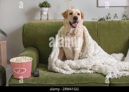 Chien Labrador mignon avec seau de pop-corn et télécommande de télévision assis sur le canapé dans le salon Banque D'Images
