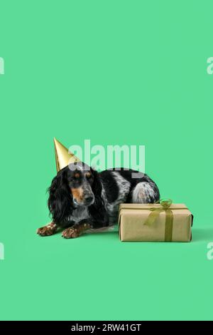 Mignon chien Cocker Spaniel dans le chapeau de partie avec boîte-cadeau couché sur fond vert Banque D'Images