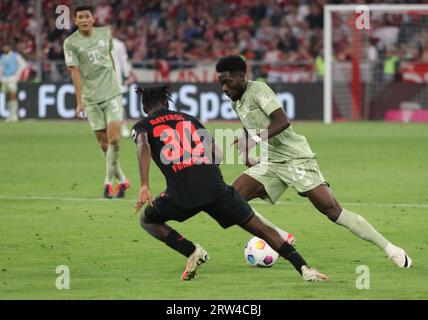 MUNICH, Allemagne. , . 19 Alphonso DAVIS vs 30 Jeremie FRIMPONG lors du match de Bundesliga entre le FC Bayern Muenchen et LE BAYER 04 LEVERKUSEN à l'Allianz Arena de Munich le 15. Septembre 2023, Allemagne. DFL, Fussball, 2:2, (photo et copyright @ ATP images/Arthur THILL (THILL Arthur/ATP/SPP) crédit : SPP Sport Press photo. /Alamy Live News Banque D'Images