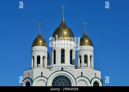 Les dômes de la Cathédrale du Christ Sauveur. Kaliningrad, anciennement Koenigsberg, Russie Banque D'Images