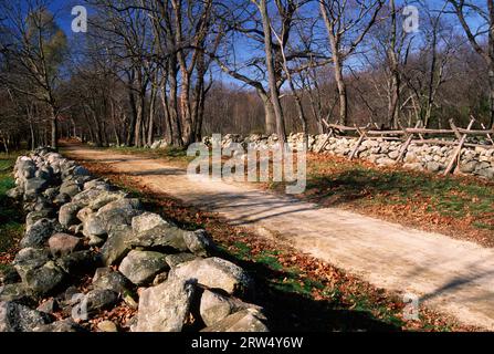 Battle Road, minute Man National Historical Park, Massachusetts Banque D'Images