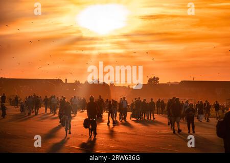 Tempelhofer Feld, Menschen BEI Freizeitaktivitäten auf der Startbahn und Landebahn auf dem ehemaligen Flughafen Berlin-Tempelhof, Sonnenuntergang, BE Banque D'Images