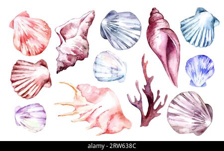 Ensemble d'illustrations à l'aquarelle du monde océanique sous-marin. Coquillages et coraux isolés sur fond blanc Banque D'Images