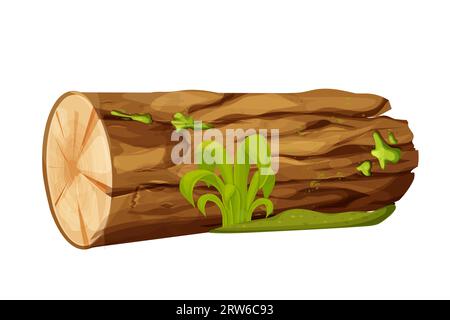 Bûche d'arbre, bois, tronc de forêt avec de la mousse et de l'herbe dans le style de bande dessinée isolé sur fond blanc. Pièce ou section. Ibject détaillé et texturé. Illustration vectorielle Illustration de Vecteur