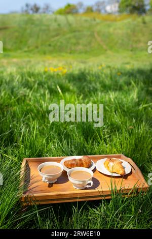 Pique-nique romantique dans la nature, deux tasses de café debout sur un plateau en bois sur l'herbe avec des croissants frais Banque D'Images