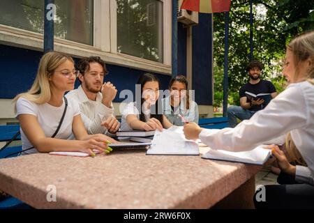 Un groupe diversifié d'étudiants universitaires se sont réunis à l'extérieur, collaborant et étudiant ensemble pour un examen. Banque D'Images