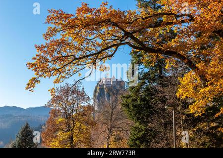 Château de Bled sur le rocher en automne dans le ciel bleu de jour ensoleillé et des arbres jaunes, photo de voyage à Bled, Slovénie Banque D'Images