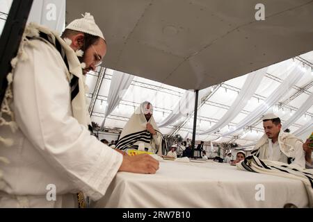 Non exclusive : UMAN, UKRAINE - 16 SEPTEMBRE 2023 - les pèlerins hassidiques célèbrent Rosh Hashanah, le nouvel an juif, Uman, région de Tcherkassy, centre d'Ukra Banque D'Images