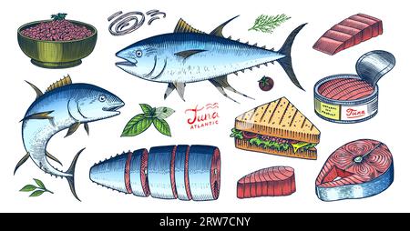 Thon et fruits de mer. Esquisse de poissons. Style rétro. Poissons de rivière d'eau douce. Sandwichs et conserves. Illustration vectorielle dessinée à la main pour le marché, le menu, l'étiquette Illustration de Vecteur