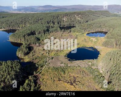 Uath Lochans et Inshriach Forest Cairngorms parc national Écosse Banque D'Images