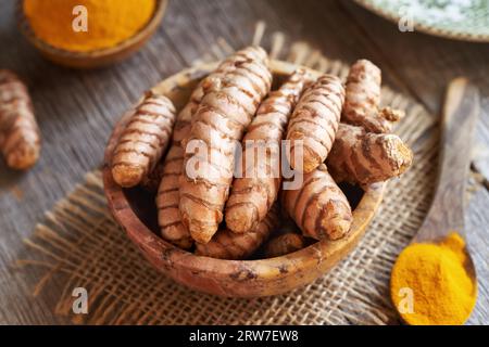 Racine de curcuma fraîche avec poudre de curcuma séchée Banque D'Images