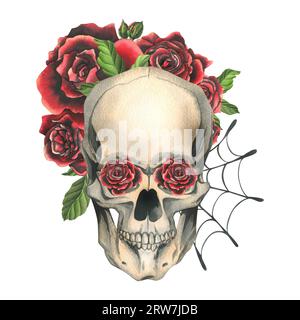 Crâne humain avec roses rouges et toiles d'araignée. Illustration aquarelle dessinée à la main pour le jour des morts, halloween, Dia de los muertos. Composition isolée activée Banque D'Images