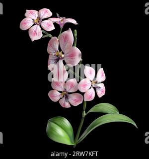 illustration 3d de fond noir isolé de fleur et de feuille Banque D'Images