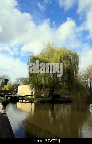 Saule pleureur à la station de pompage sur le canal Kennet et Avon à Widcombe Bottom Lock, ville de Bath, Angleterre. Septembre 2023 Banque D'Images