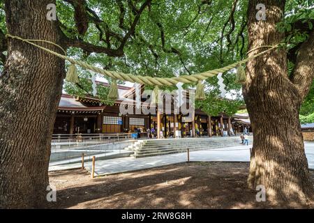 Une corde sacrée tendue entre deux camphres au Meotogusu dans la cour intérieure regardant vers le bâtiment principal du sanctuaire Meiji Jingu situé à l'intérieur d'un parc forestier de 170 hectares, à Shibuya, Tokyo, Japon. Le sanctuaire shinto est dédié aux esprits de l'empereur Meiji et de son épouse, l'impératrice Shoken. Banque D'Images