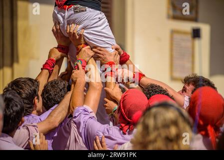 Castells (tours humaines) le jour Sant Fèlix de 2022. Le festival principal de Vilafranca del Penedès (Barcelone, Catalogne, Espagne) Banque D'Images