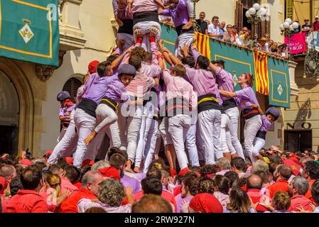 Castells (tours humaines) le jour Sant Fèlix de 2022. Le festival principal de Vilafranca del Penedès (Barcelone, Catalogne, Espagne) Banque D'Images