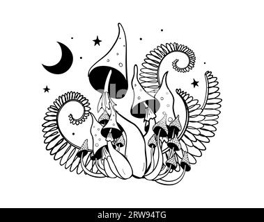 Agarics magiques de mouche de forêt, tatouage Boho, impression mystique avec la lune, dessin linéaire à la main, croquis de champignons et de fougères. Illustration vectorielle isolée sur Illustration de Vecteur