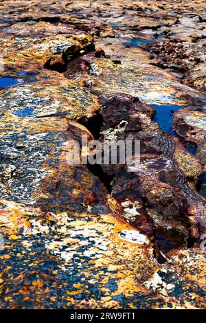 Roches multicolores de la plage de Darwin en Australie du Nord à marée basse, révélant de petites piscines d'eau de mer. Banque D'Images