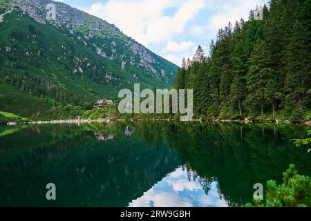 Forêt d'épinettes près du lac bleu dans les montagnes. Parc national des Tatras en Pologne. Vue panoramique sur le lac Morskie Oko ou Sea Eye dans la vallée de cinq lacs. Nature l Banque D'Images