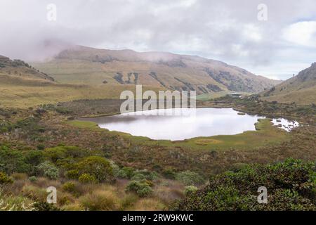 Paysage de la Laguna Negra dans le parc national de Los Nevados, Colombie. Banque D'Images