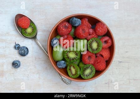 Fruits en coquille, framboises, bleuets, minikiwi Banque D'Images