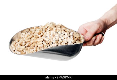 Homme tenant une pelle métallique pleine de granulés de bois. Granulés de bois fabriqués à partir de déchets de bois industriels et utilisés comme combustible Banque D'Images
