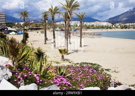 Plage de sable dans la station balnéaire de Puerto Banus (près de Marbella) sur la pittoresque Costa del sol, Andalousie, Espagne Banque D'Images