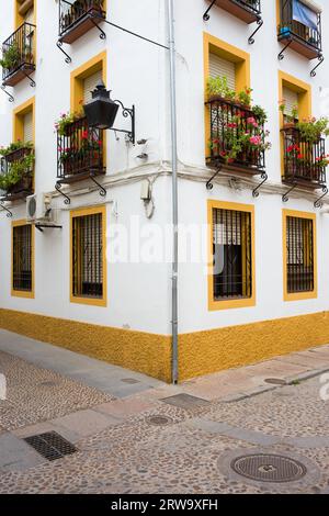 Coin d'une maison andalouse traditionnelle à Cordoue, Andalousie, Espagne Banque D'Images