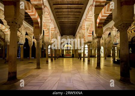 Salle de prière hypostyle dans la Mezquita (la Grande Mosquée) avec des colonnes de jaspe, onyx, marbre et granit soutenant des arches doubles à Cordoue, Espagne Banque D'Images