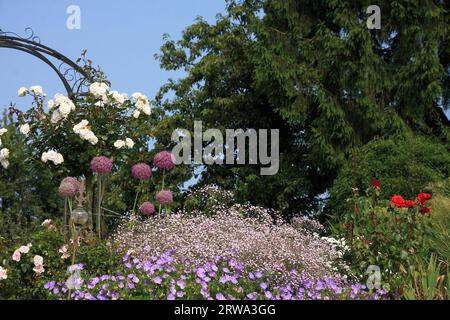 Diverses fleurs et plantes dans un jardin en pleine floraison, ciel de fond, détail Banque D'Images