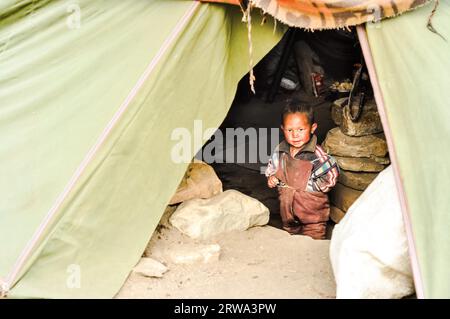 Dolpo, Népal, vers juin 2012 : petit garçon aux cheveux bruns en vêtements bruns de leur abri à Dolpo, Népal. Éditorial documentaire Banque D'Images