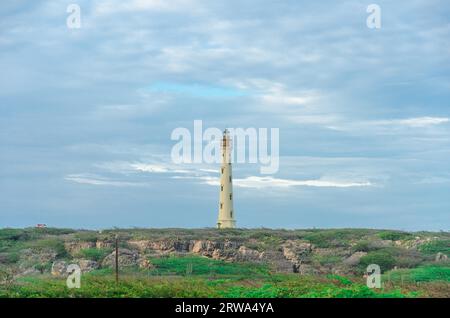 Le vieux phare California blanc à Aruba désert, au nord de l'Aruba Banque D'Images