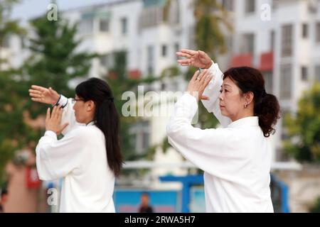 COMTÉ de LUANNAN, province du Hebei, Chine - 8 août 2019 : représentation de Taijiquan sur la place du parc. Banque D'Images