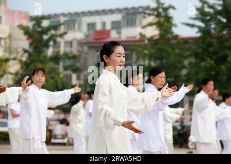 COMTÉ de LUANNAN, province du Hebei, Chine - 8 août 2019 : représentation de Taijiquan sur la place du parc. Banque D'Images