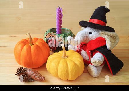 Adorable poupée éléphant en costume de sorcier avec une paire de citrouilles et une décoration de saison Banque D'Images