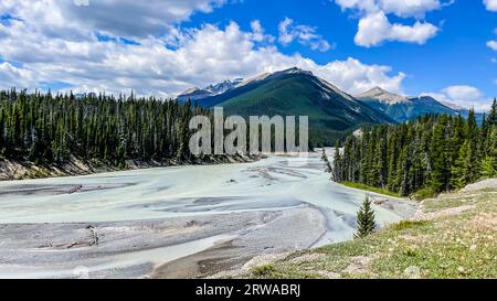 Rivière Saskatchewan près de Banff, en Alberta, Canada. Banque D'Images