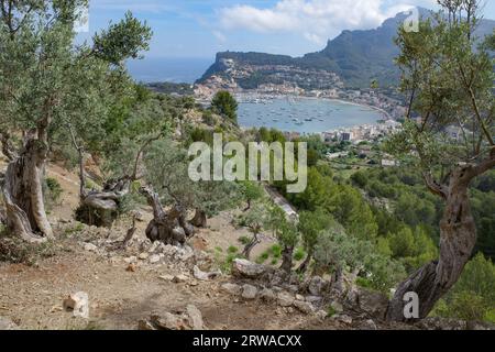 Majorque, Espagne - 12 juin 2023 : vue sur Port de Soller depuis le sentier de randonnée GR221 et les montagnes de Tramuntana, Majorque Banque D'Images