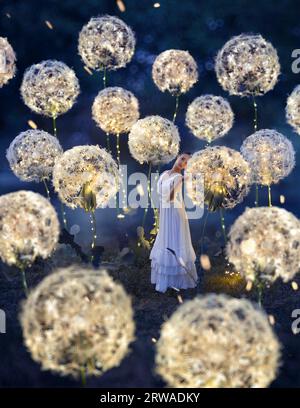 Belle ballerine avec pissenlits géants avec des lumières Banque D'Images